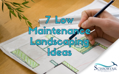 7 Low Maintenance Landscaping Ideas